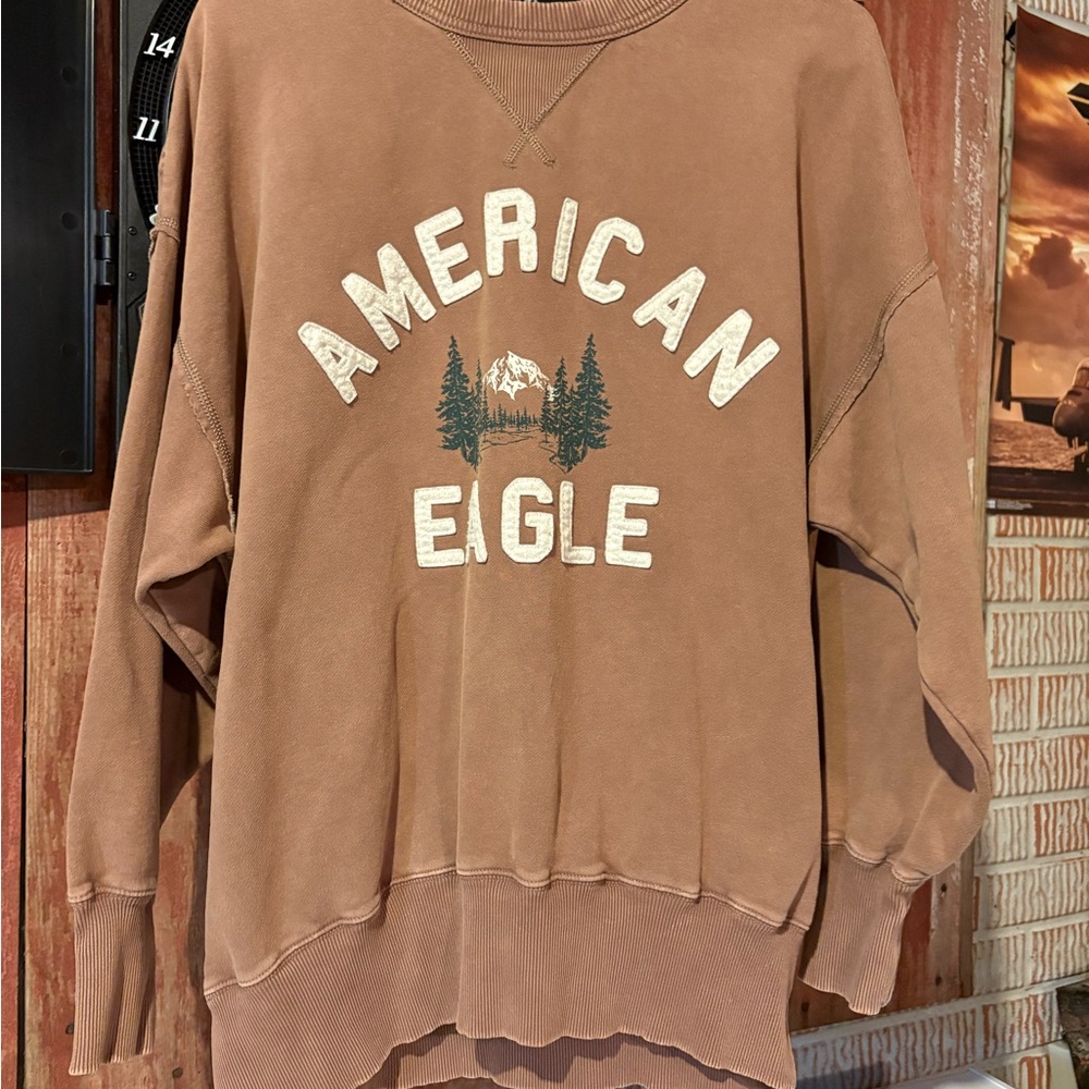 American Eagle Outfitters Tan Crewneck Sweater